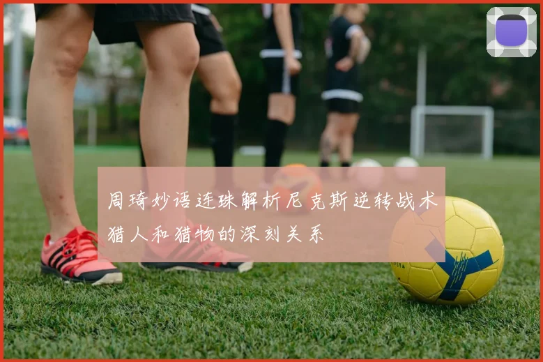 周琦妙语连珠解析尼克斯逆转战术猎人和猎物的深刻关系